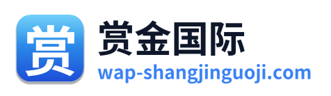 赏金国际 Logo